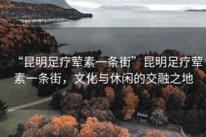 “昆明足療葷素一條街”昆明足療葷素一條街，文化與休閑的交融之地