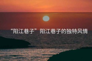 “陽江巷子”陽江巷子的獨特風情