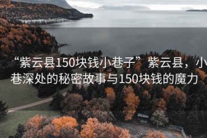 “紫云縣150塊錢小巷子”紫云縣，小巷深處的秘密故事與150塊錢的魔力