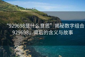 “929698是什么意思”揭秘數字組合929698，背后的含義與故事