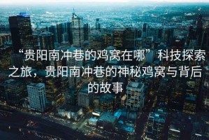 “貴陽(yáng)南沖巷的雞窩在哪”科技探索之旅，貴陽(yáng)南沖巷的神秘雞窩與背后的故事
