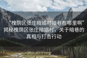 “槐蔭區張莊暗娼村暗巷在哪里啊”揭秘槐蔭區張莊暗娼村，關于暗巷的真相與打擊行動