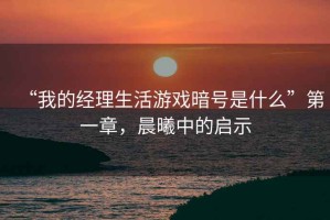 “我的經理生活游戲暗號是什么”第一章，晨曦中的啟示