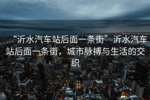 “沂水汽車站后面一條街”沂水汽車站后面一條街，城市脈搏與生活的交織