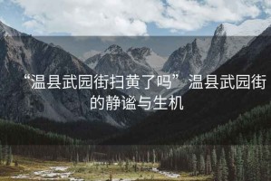 “溫縣武園街掃黃了嗎”溫縣武園街的靜謐與生機(jī)