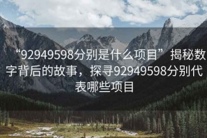 “92949598分別是什么項(xiàng)目”揭秘?cái)?shù)字背后的故事，探尋92949598分別代表哪些項(xiàng)目