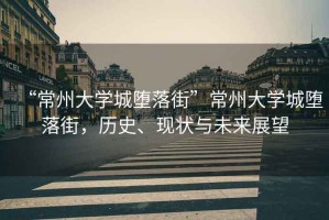 “常州大學城墮落街”常州大學城墮落街，歷史、現狀與未來展望