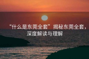“什么是東莞全套”揭秘東莞全套，深度解讀與理解