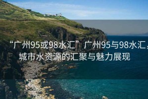 “廣州95或98水匯”廣州95與98水匯，城市水資源的匯聚與魅力展現