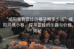 “咸陽哪有耍娃的巷子啊多少錢”咸陽風情小巷，探尋耍娃的樂趣與價格揭秘