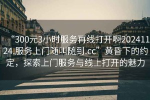 “300元3小時(shí)服務(wù)再線打開啊20241124.服務(wù)上門隨叫隨到.cc”黃昏下的約定，探索上門服務(wù)與線上打開的魅力