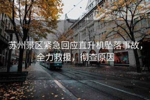 蘇州景區緊急回應直升機墜落事故，全力救援，徹查原因