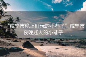 “咸寧市晚上好玩的小巷子”咸寧市夜晚迷人的小巷子