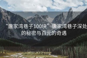 “唐家灣巷子100塊”唐家灣巷子深處的秘密與百元的奇遇
