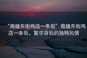“南雄東街雞店一條街”南雄東街雞店一條街，繁華背后的獨特風情