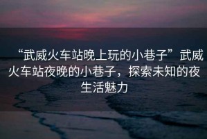 “武威火車站晚上玩的小巷子”武威火車站夜晚的小巷子，探索未知的夜生活魅力