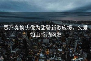 賈乃亮換頭像為甜馨新歌應(yīng)援，父愛如山感動網(wǎng)友