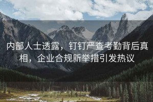 內部人士透露，釘釘嚴查考勤背后真相，企業合規新舉措引發熱議