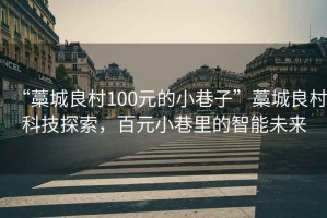 “藁城良村100元的小巷子”藁城良村科技探索，百元小巷里的智能未來