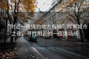 “附近一夜情的地方有嗎”探索城市之夜，尋找附近的一夜情場所