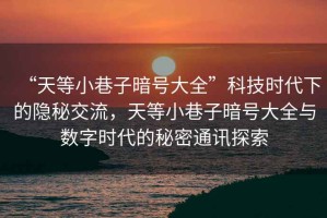 “天等小巷子暗號大全”科技時代下的隱秘交流，天等小巷子暗號大全與數字時代的秘密通訊探索
