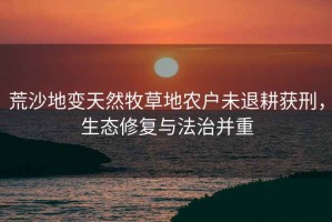 荒沙地變天然牧草地農戶未退耕獲刑，生態修復與法治并重