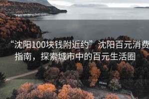 “沈陽100塊錢附近約”沈陽百元消費指南，探索城市中的百元生活圈