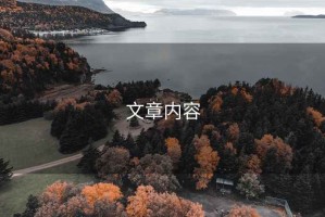 文章內容