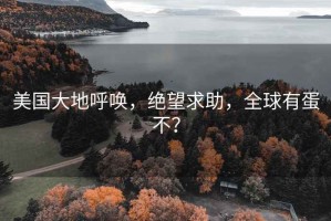 美國大地呼喚，絕望求助，全球有蛋不？