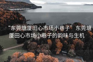 “東莞塘廈田心市場(chǎng)小巷子”東莞塘廈田心市場(chǎng)小巷子的韻味與生機(jī)