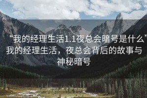 “我的經(jīng)理生活1.1夜總會暗號是什么”我的經(jīng)理生活，夜總會背后的故事與神秘暗號