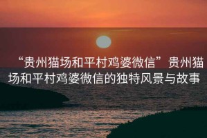 “貴州貓場和平村雞婆微信”貴州貓場和平村雞婆微信的獨特風景與故事