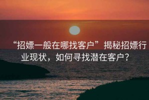 “招嫖一般在哪找客戶”揭秘招嫖行業現狀，如何尋找潛在客戶？