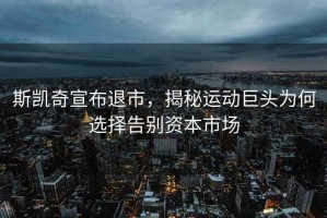 斯凱奇宣布退市，揭秘運動巨頭為何選擇告別資本市場