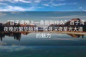 “百子灣晚上一條街叫什么”百子灣夜晚的繁華脈搏—探尋深夜星光大道的魅力