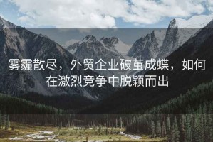 霧霾散盡，外貿(mào)企業(yè)破繭成蝶，如何在激烈競(jìng)爭(zhēng)中脫穎而出