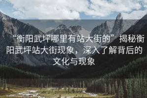 “衡陽武坪哪里有站大街的”揭秘衡陽武坪站大街現象，深入了解背后的文化與現象