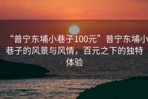 “普寧東埔小巷子100元”普寧東埔小巷子的風景與風情，百元之下的獨特體驗