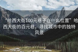 “哈西大街100元巷子在什么位置”哈西大街的百元巷，尋找城市中的獨特風景