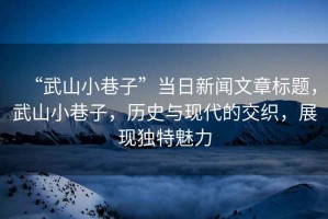 “武山小巷子”當日新聞文章標題，武山小巷子，歷史與現代的交織，展現獨特魅力