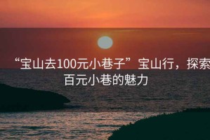 “寶山去100元小巷子”寶山行，探索百元小巷的魅力