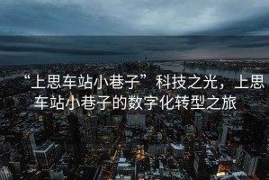 “上思車(chē)站小巷子”科技之光，上思車(chē)站小巷子的數(shù)字化轉(zhuǎn)型之旅