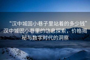 “漢中城固小巷子里站著的多少錢”漢中城固小巷里的信息探索，價格揭秘與數字時代的洞察