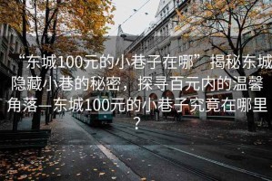 “東城100元的小巷子在哪”揭秘東城隱藏小巷的秘密，探尋百元內(nèi)的溫馨角落—東城100元的小巷子究竟在哪里？