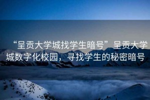 “呈貢大學(xué)城找學(xué)生暗號(hào)”呈貢大學(xué)城數(shù)字化校園，尋找學(xué)生的秘密暗號(hào)