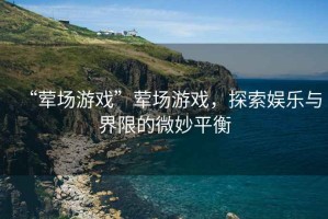 “葷場游戲”葷場游戲，探索娛樂與界限的微妙平衡