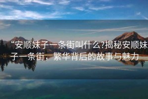 “安順妹子一條街叫什么?揭秘安順妹子一條街，繁華背后的故事與魅力