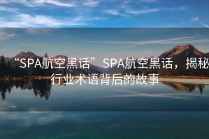 “SPA航空黑話”SPA航空黑話，揭秘行業(yè)術(shù)語背后的故事
