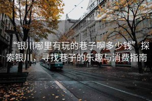 “銀川哪里有玩的巷子啊多少錢”探索銀川，尋找巷子的樂趣與消費(fèi)指南