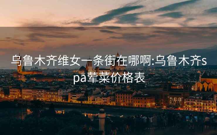 烏魯木齊維女一條街在哪啊:烏魯木齊spa葷菜價格表